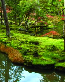 Shinto sanctuary in Kyoto, Shimogamo Shrine, red Japanese bridge with yellow leafed tree, on cover of 'World Heritage Japan', by River Books.