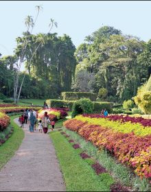 Book cover of Gardens of Sri Lanka: 2000 Years of Landscape Architecture Tradition. Published by Silvana.