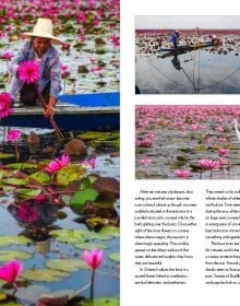 Book cover of Encounters with Nature, 53 of the World's Must-See Destinations, with emerald pools in 