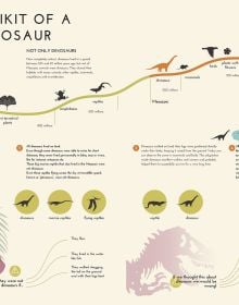 Book cover of Dinosaur Explorers, Infographics for Discovering the Prehistoric World, with a tyrannosaurus rex, with blue long-necked species. Published by White Star.