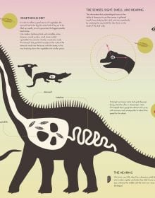 Book cover of Dinosaur Explorers, Infographics for Discovering the Prehistoric World, with a tyrannosaurus rex, with blue long-necked species. Published by White Star.