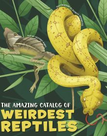 Book cover of The Amazing Catalog of Weirdest Reptiles, with a yellow snake coiled round a tree branch, with flying dragon lizard resting nearby. Published by White Star.