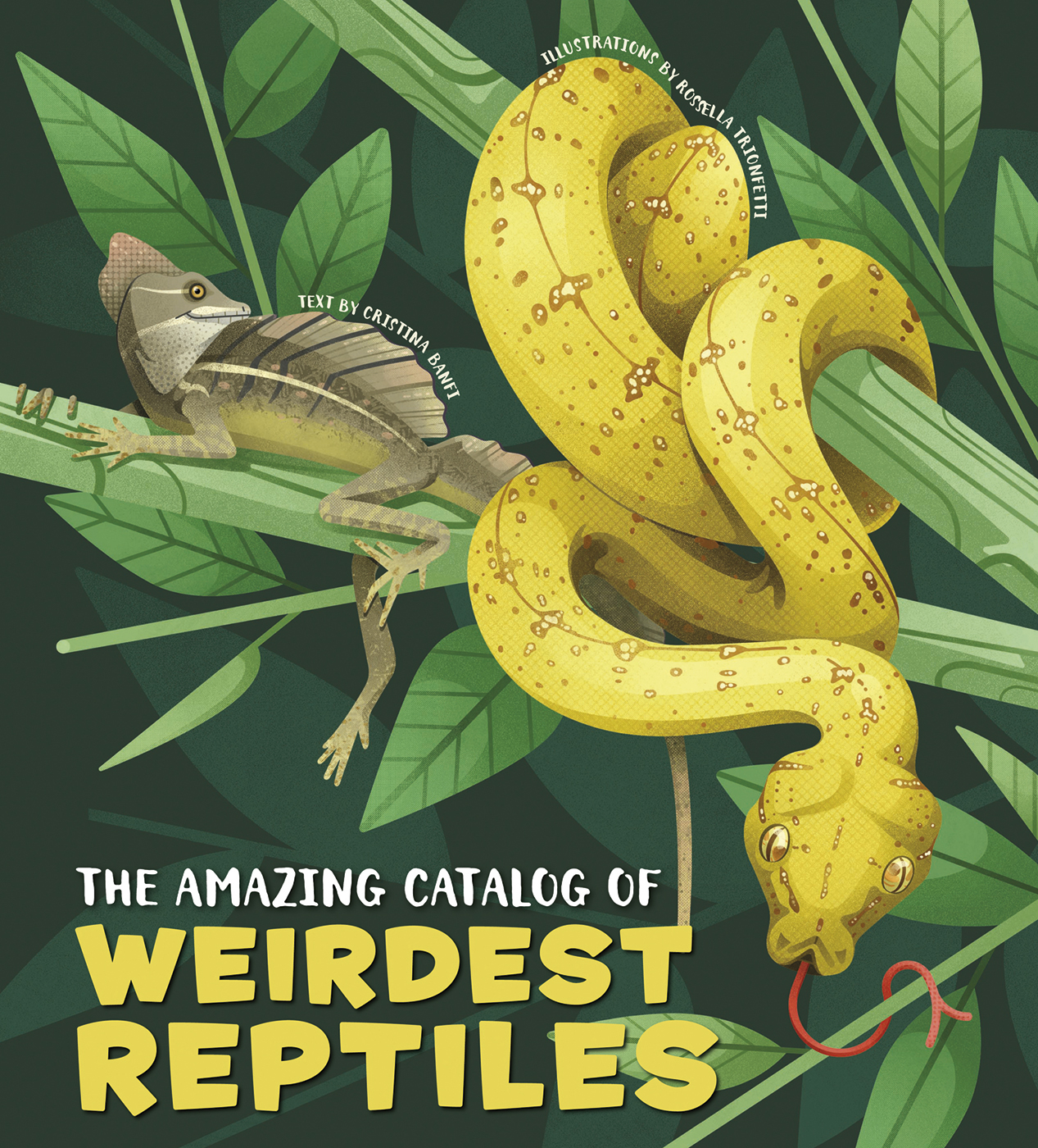 The Amazing Catalog of Weirdest Reptiles - ACC Art Books UK