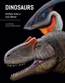 Book cover of Dinosaurs, Profiles from a Lost World, with two species of dinosaur. Published by White Star.