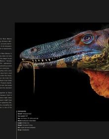 Book cover of Dinosaurs, Profiles from a Lost World, with two species of dinosaur. Published by White Star.