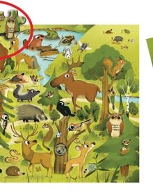 Activity box with rope handle of Forests: Search and Find Jigsaw Puzzle, featuring a forest scene with a moose, bat, owl, fox, rabbit, and others. Published by White Star.