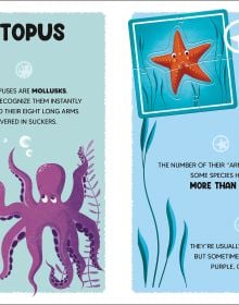 Activity box of The Ocean, with a purple octopus, whale, blue dolphin and starfish. Published by White Star.