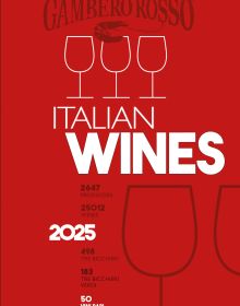 Book cover of Italian Wines 2025, with wine glasses. Published by Gambero Rosso.