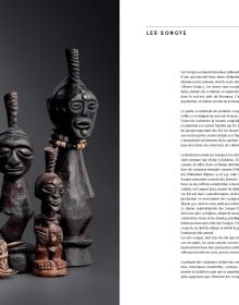 Book cover of African Sculptures and Forms, featuring a dark wood carved figure. Published by 5 Continents Editions.