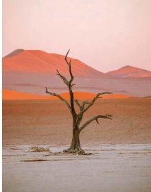 Book cover of Deserted: In Pursuit of Drylands, with an aerial view of desert landscape with sand dunes. Published by Lannoo Publishers.