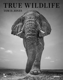 Book cover of True Wildlife, with African bush elephant walking towards camera. Published by Lannoo Publishers.