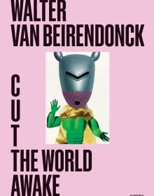 Book cover of Walter Van Beirendonck's Cut the World Awake, with a figure with green body and gray mask. Published by Hannibal Books.