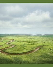 Book cover of Jeroen Hofman's Zeeland, with a vast green landscape. Published by Hannibal Books.